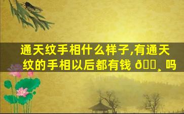 通天纹手相什么样子,有通天纹的手相以后都有钱 🕸 吗